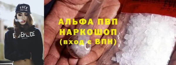 индика Сясьстрой