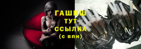 индика Сясьстрой