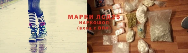 ГАЛЛЮЦИНОГЕННЫЕ ГРИБЫ Кулебаки